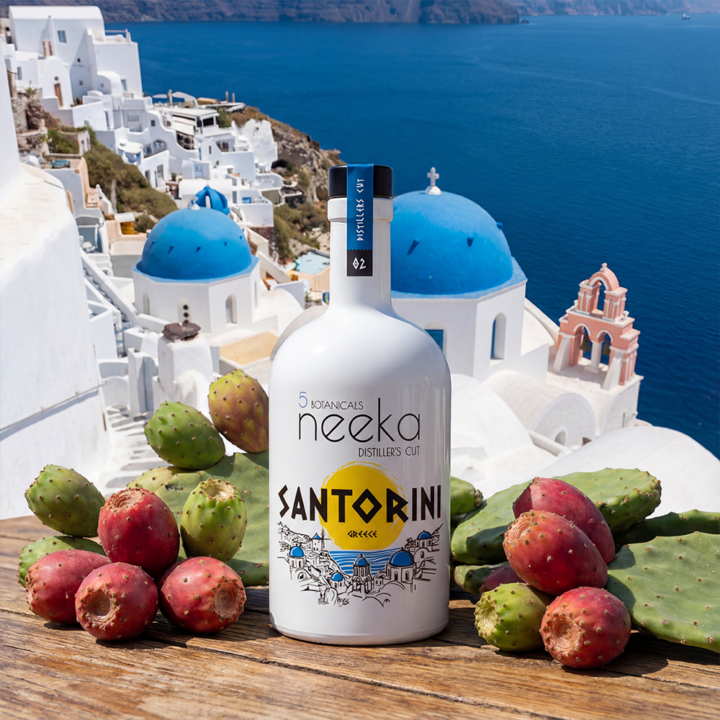 neekaSANTORINI_03