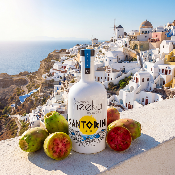 neekaSANTORINI_04